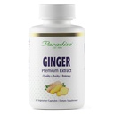 Rajové byliny Premium Ginger Extract for Digestive Health, Super Potent, Ultra Pure, Vegan, Non-GMO, Gluten Free, 60 Vegetariánske kapsule