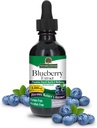 Natures Answer's Alcohol-free Blueberry Fruit 1000mg 2oz Extract 