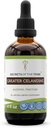 Tajomstvá extraktu alkoholu z kmeňa Tribe Greater Celandine Tinktúra, veľká Celandine (Chelidónium majus) 4 OZ