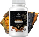 Chaga Mushroom Gummies 
