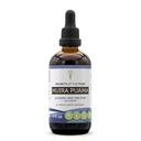 Tajomstvá tekutého extraktu bez obsahu alkoholu Tribe Muira Puama, Muira Puama (Ptychopetalum Olacoides) sušenej kôry (4 FL OZ)