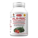 ANDREW LESSMAN ALA + NAC Alpha Lipoic Acid s N-Acetyl-Cysteine 360 Kapsule - Ultra-Vysoká potencia, Anti-Oxidant Podpora nervového systému, srdca, mozgu, pečene, obličiek, pľúc, energie. Žiadne prídavné látky