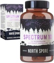 North Spore Organic 'Spectrum 10' High Potency Mushroom Capsules | Cognitive Supplement | Lion's Mane, Chaga, Cordyceps, Reishi, Turkey Tail | 10 Medicinal Mushrooms | Energy, Focus, Clarity - 60ct