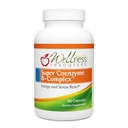 Wellness Resources Super Coenzým B Complex - 90 Kapsule - Vitamín B12, Vitamín B komplex pre rast vlasov, Adrenal Support & Stres Relief - Metylated B12, Folát, Biotin, Riboflavín, Tiamín