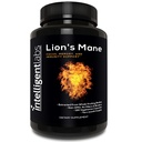 Inteligentné Labs Lion