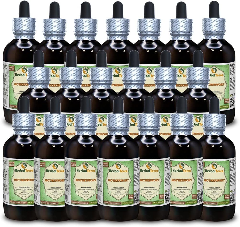 Motherwort (Leonurus Scarba) Glycerit, Organicky sušený Herb Bez obsahu alkoholu Tekutý extrakt (meno brada: bylinný terasa, hrdo vyrobené v USA) 20x4 fl.oz (20x120 ml)