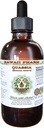 Kvassia Liquid Extract bez obsahu alkoholu, Quassia (Quassia Amara) Sušená kôra Glycerit Natural Herbal Supplement, Hawaii Pharm, USA 2 fl.oz