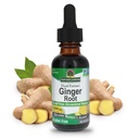 Nature's Answer Ginger Root Alcohol Free Extract 1 Ounce