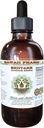 Shiitake Liquid Extract bez obsahu alkoholu, Organic Shiitake (Lentinula Edodes) Sušený Mushrom Glycerit Natural Herbal Supplement, Hawaii Pharm, USA 2 fl.oz