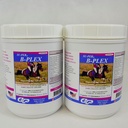 SU-PER B-Plex prášok Konské vitamíny - Kompletné B-komplexné konské vitamíny a minerály doplnok - zdravé kapucne, červené krvinky, kôň upokojujúci prášok - 2,5 libra, (2 balenia)
