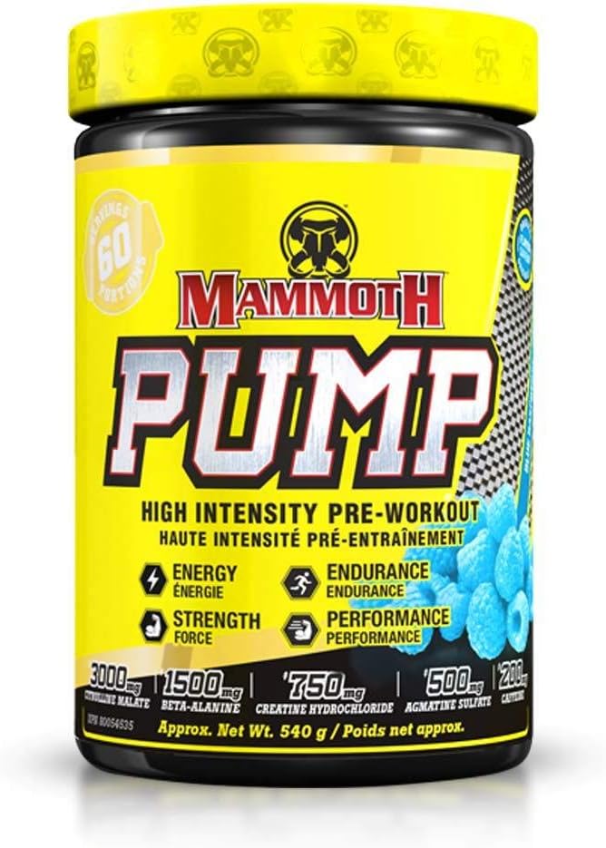 MAMMOTH P UMP 