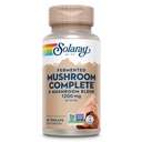 SOLARAY Fermented Mushroom Complete - Organic Chaga, Reishi, Shiitake, Cordyceps, Turkey chvost Mushroom a Lions Mane Supplement Kapsule - 8 Huba Supplement - Non-GMO, 30 Servings, 60 VegCaps
