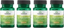 Swanson L. Plantarum - Tráviace doplnok Podpora Gastrointestinálneho Balance & Bowel Pravidelnosť - Prírodná formula pomôcť znížiť Bloating - (30 Veggie Kapsule) 4 balenie