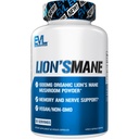 Evaluation Organic Lion 