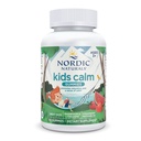 Nordic Naturals Kids Calm Gumies - Jahodový melón - 60 Gummy - Horčík L-Theanine doplnok - Ukľudnenie pre deti - Relaxačná podpora - Až 60 Služieb