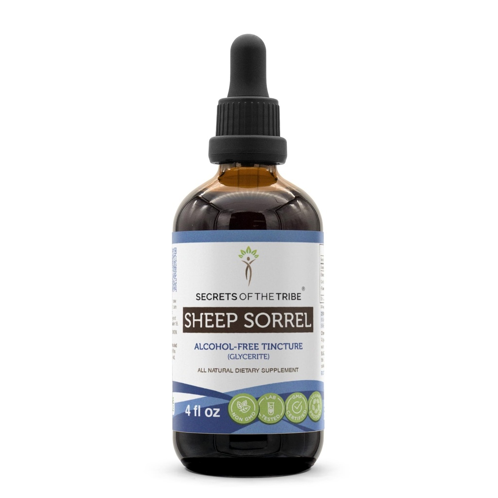 Ovce Sorrel Tincture Bezalkoholový extrakt, Ovce Sorrel (Rumex Acetosella) Sušený Herb 4 oz