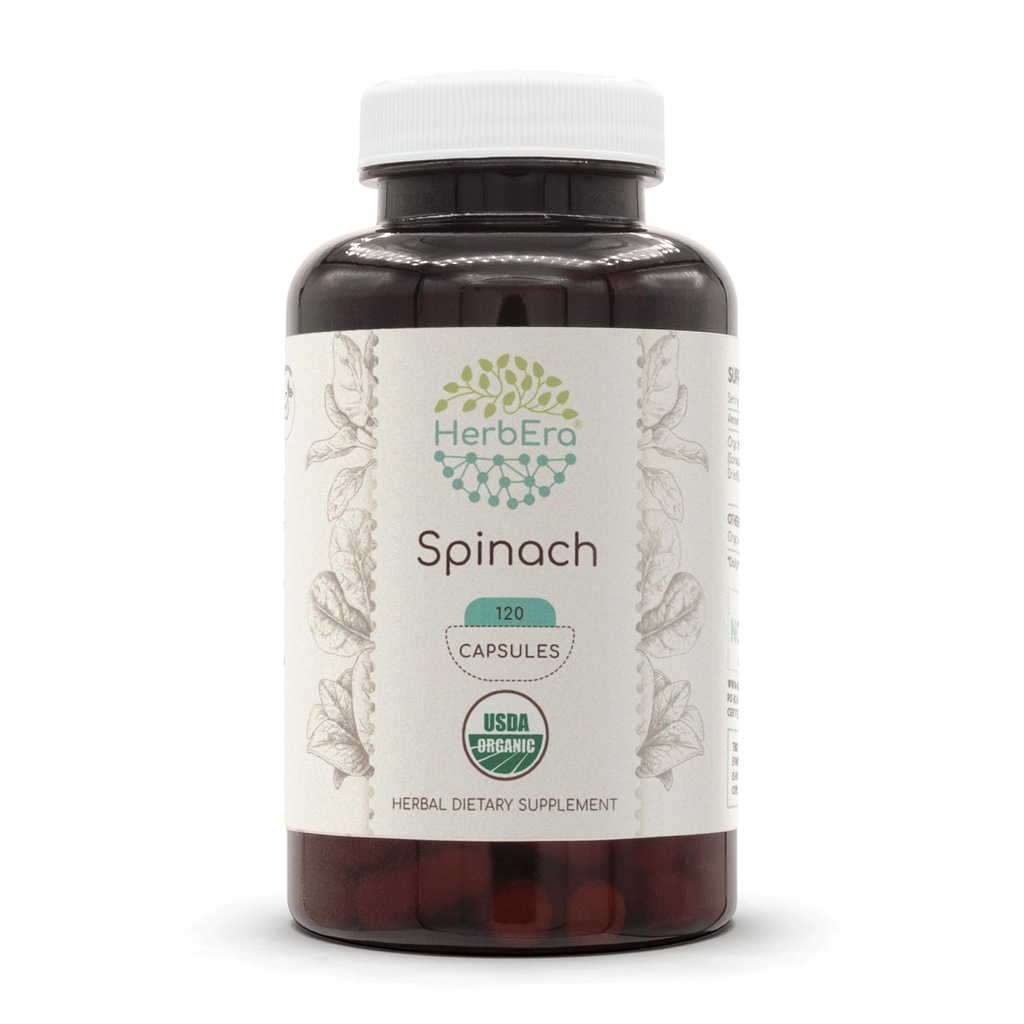 HerbEra špenát 120 kapsúl, 500 mg, USDA organický špenát (Spinacia oleracea) sušený listový list (120 kapsúl)