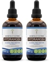 Tajomstvá tekutého extraktu bez obsahu alkoholu z kmeňa Tribe Hydrangea Tinture, Hydrangea (Hydranga arborescens) sušený koreň (2x4 FL OZ)