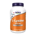 Teraz Foods L-Lysine 500 Milligrams, 250 tabliet