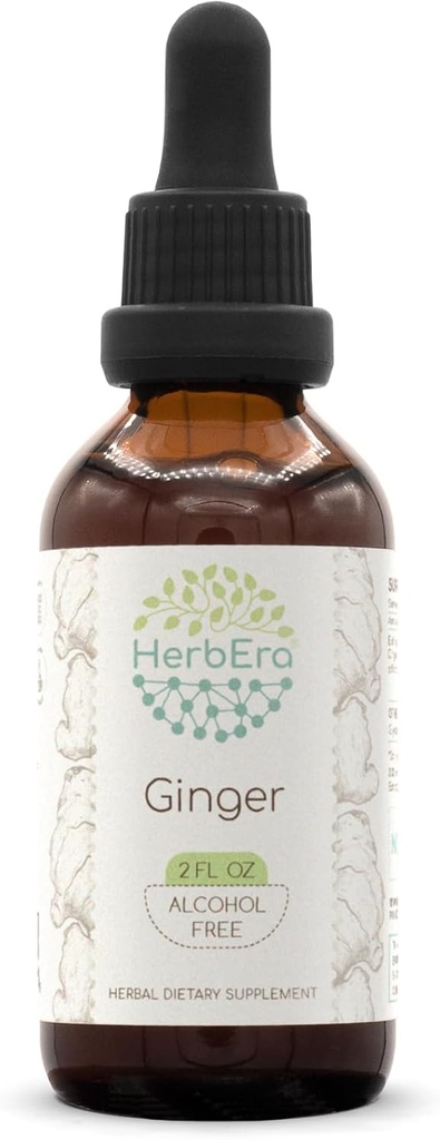 HerbEra Ginger B60 Rastlinný extrakt bez obsahu alkoholu Tinktúra, superkoncentrovaná zázvor (Zingiber officinale) 2 fl oz