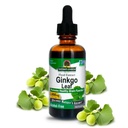Prírodná odpoveď Alkohol zadarmo Ginkgo Biloba Leaf Extract, 2 Ounce, 2 gróf 