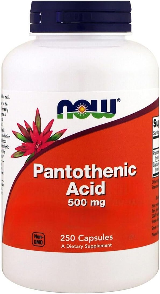 Potraviny, kyselina pantoténová, 500 mg, 250 kapsúl