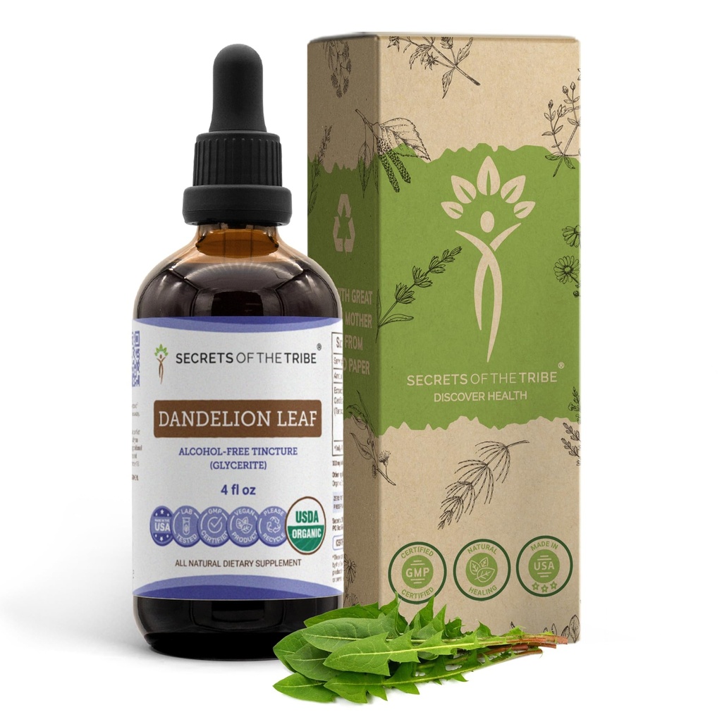 Secrets of the Tribe Dandelion Leaf USDA Organic Tincture Alcohol-Free Liquid Extract, Dandelion (Taraxacum Officinale) Sušený Leaf (4 FL OZ)