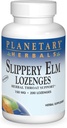 PLANMENE HERBALS Slippery Elm Lozenges, unflaved, 200 Count