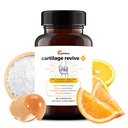 UpWellness Cartilage Revive + Spoločná podpora doplnok pre mužov a ženy s kolagénom typu II pre kĺby - D-Glukosamine Sulfate, MSM, vitamín D3, vitamín C a viac - 60 kapsúl