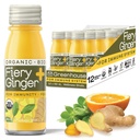 Zeleninová šťava Organická ohnivá zázvor Wellness Shots 12-Count 60ml sklenené fľaše, Vegan & Gluten-free