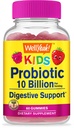 WellYeah Probiotiká pre deti Gummy -10 miliárd CFU - pre zdravie Gut, imunitné zdravie a podporu trávenia - Berry Flavor Chewable Supplement - Vegan, Non GMO, Gluten Free Kids Probiotic -60 Gummies