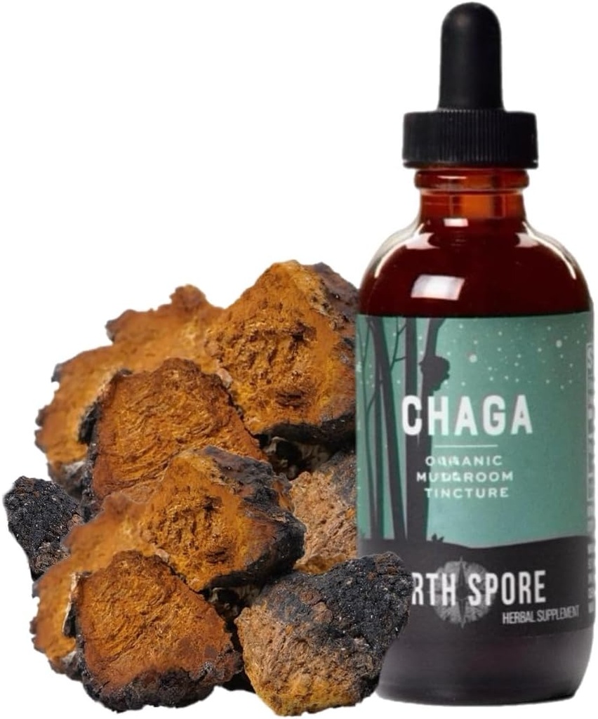 North Spore Chaga Mushrom Tincture 