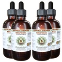 Selfheal Bezalkoholový tekutý extrakt, Organic Selfheal (Prunella Vulgaris) Sušený Herb Glycerit Natural Herbal Supplement, Hawaii Pharm, USA 4x4 fl.oz