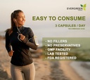 Evergreen byliny Supplement bylinné kapsule 90 Gróf (Senna Leaf) - Tamper dôkaz Seal zabezpečiť čerstvosť.