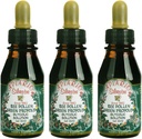 3 fľaše Apiario Silvestre Bee Pollen & Brazil Green Bee Propolis Liquid - Glycolic Extract-Non Alkoholické, bez voskov, bez cukru