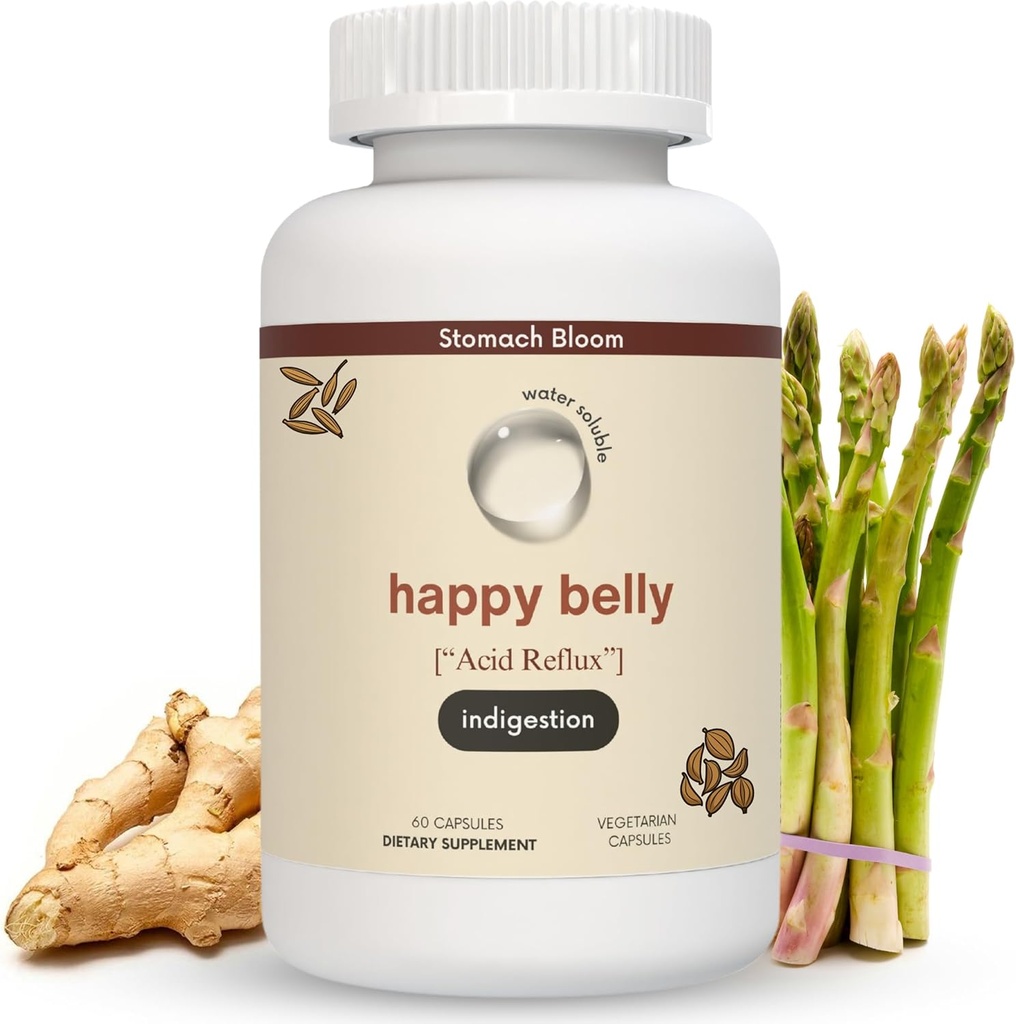 Acid & Ingardation Relief, Safe Antacidum Alternatíva pre príležitostný reflux kyseliny a pálenie zázvoru, kurkumín, spearmint & More