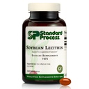Štandardný proces Soybean Lecithin - Brain Zdravotná podpora doplnok - Nutritional Whole Food-Based Supplement with Essential Mastné kyseliny zo sójového lecitínu - 240 Softgels