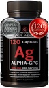 Alpha GPC Supplement & BioPerine for Hyper Absorbtion - 120 Gróf, Alpha-GPC 600mg per Serving - Nootropics for Memory, Focus, Energy, & Drive - Cholín Doplnky k boost Acetylcholín, Made in USA