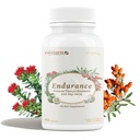 CheezhengHimalaya Rhodiola a Goji Berry Daily Supplement, Support Energy, Mental Calmness, Boost Digestion, Zvyšuje odolnosť, Zlepšuje kyslíkové využitie, Tibetské prírodné byliny, 90 Veggie Kapsule