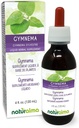Naturalma Gymnema (Gymnema sylvestre alebo Marsdenia sylvestris) Leaf Alkohol-Free Tinture - 4 fl oz Liquid Extract in Drops - Bylinné doplnky - Vegan
