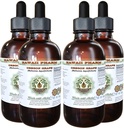 Hawaii Pharm Oregon Grape-Free Liquid Extract, Oregon Grape (Mahonia aquifolium) Sušený Root Glycerit Natural Herbal Supplement, USA 4x4 fl.oz