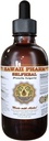 Selfheal Liquid Extract, Organic Selfheal (Prunella Vulgaris) Tinture, Bylinné doplnky, Hawaii Pharm, Made in USA, 4 fl.oz