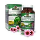 Nature's Answer Echinacea & Goldenseal 