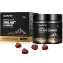Organické Shilajit Gummy, Pure Himalayan Shilajit Gummy pre mužov Supplement, Gold Shilajit Gummy pre ženy,Prírodné 85+ Stopové minerály, Ashwagandha, Čierny olej extrakt, 90 Gumies