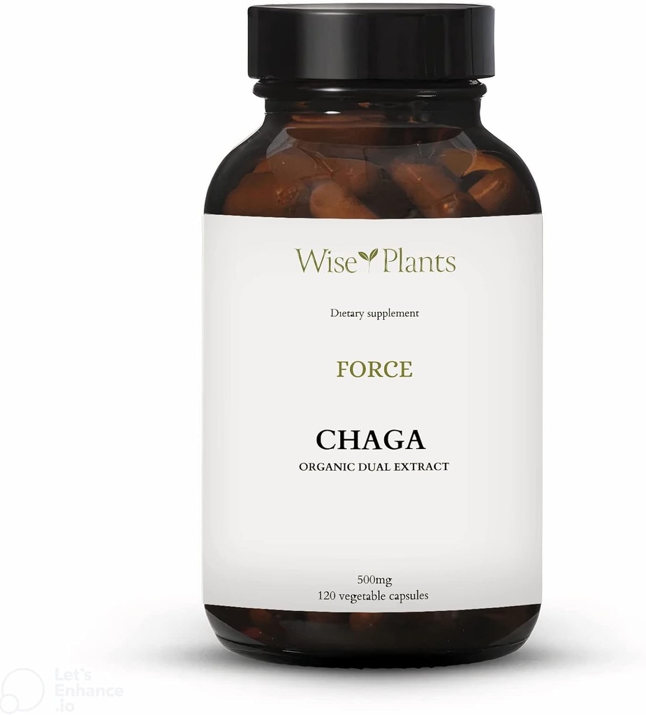 Chaga Mushroom Supplement. Dual Extract, Pure Fruiting Body, 30% Polysacharidy, 500 mg, 120 vegekaps (120-dňová zásoba). Môže podporovať zdravé tráviace, imunitné funkcie a podporovať zdravie srdca.