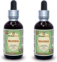 Selfheal (Prunella Vulgaris) Glycerit, Organicky sušený Herb Alkohol-FREE Tekutý extrakt (názov brand: HerballTerra, Hrdo vyrobený v USA) 2x2 fl.oz (2x60 ml)