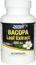 Bacopa Leaf Extract - 500 mg - 60 kapsúl