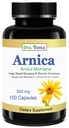 Arnica Montana kapsuly 500 mg 100 kapsúl