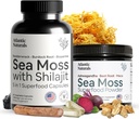 Atlantic Naturals Sea Moss Superfood Bundle - Sea Moss s 5-in-1 Kapsule a morský Moss Powder s Ashwagandha, Beet Root & Maca Root - Enhanced Vitality, Skin & Atletic Support 60 ct & 150g