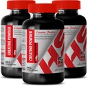 Body Builder for Men - CREATINE Powder 100G - Kreatín hromadne - 3 fľaše (Powder)